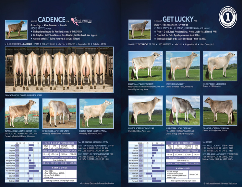 Catalog