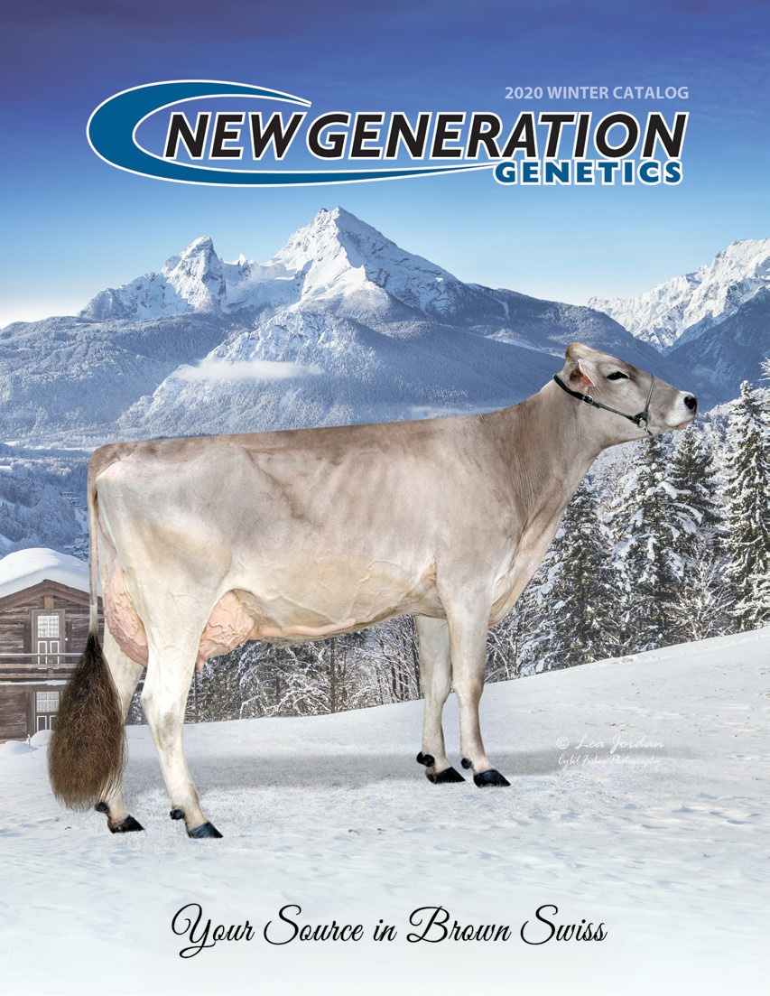 Catalog